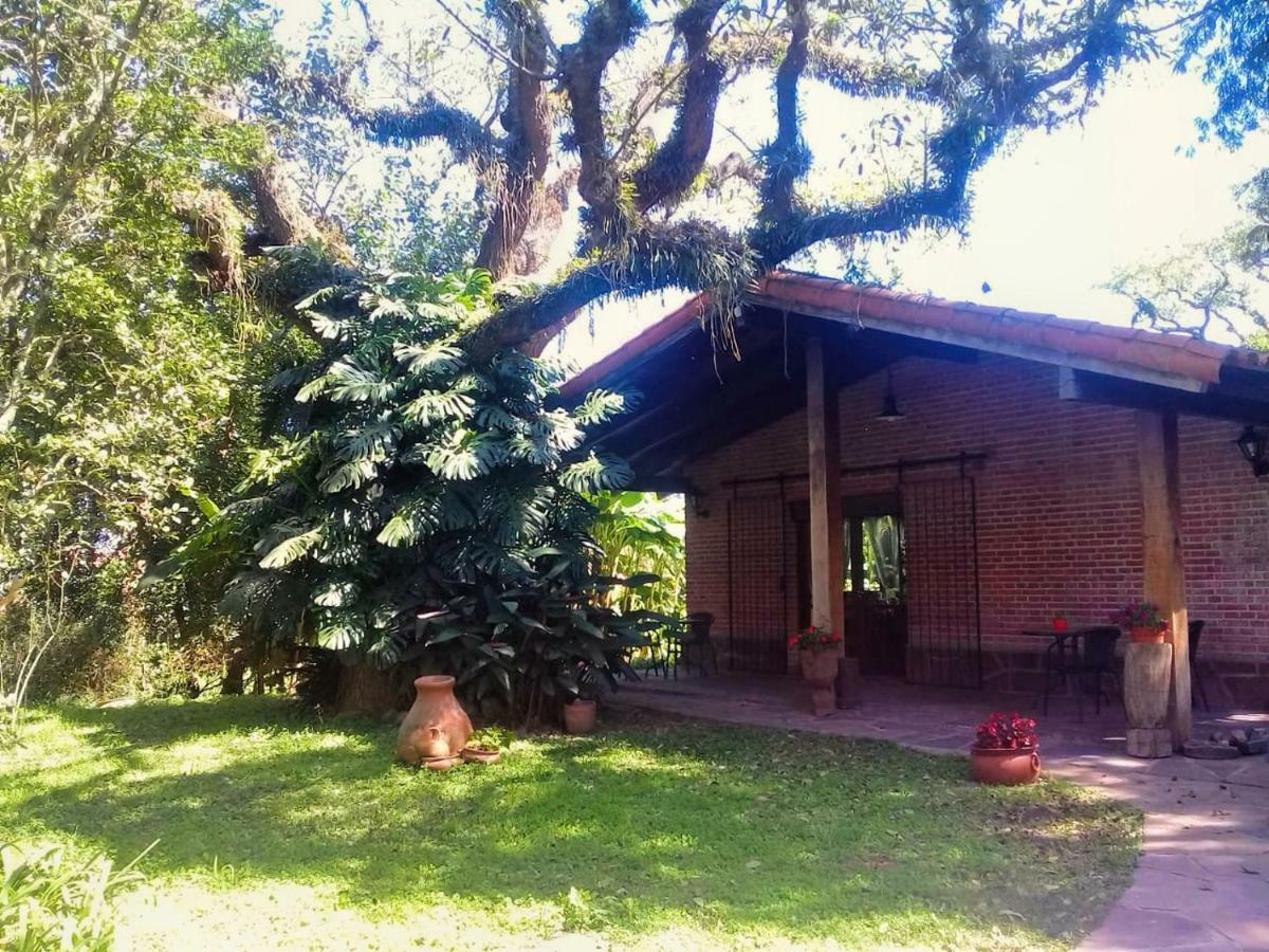 Terrazas Del Coya Hostel San Salvador de Jujuy Exterior photo